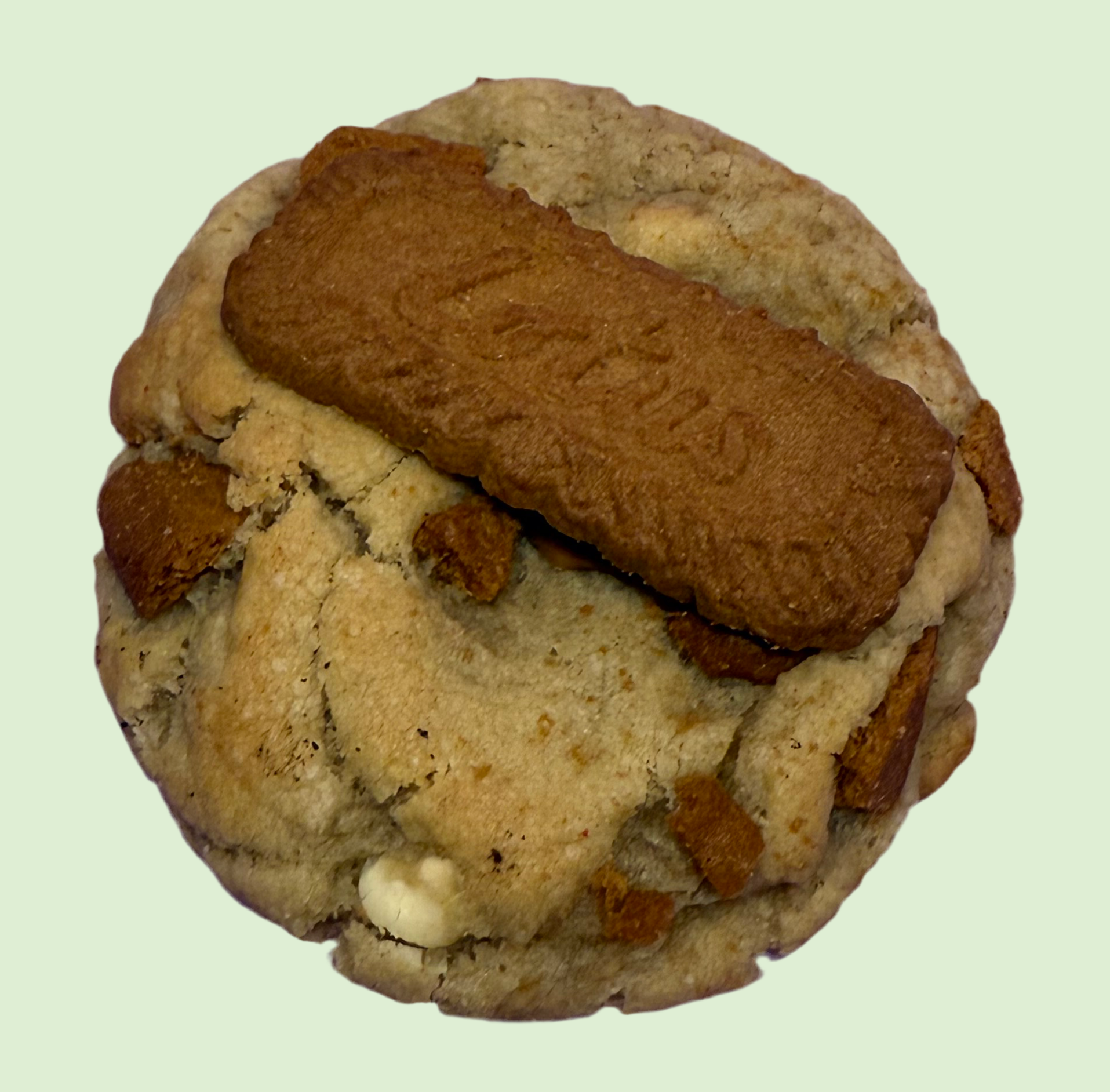 Lotus Biscoff Sensation Stuffed Cooke